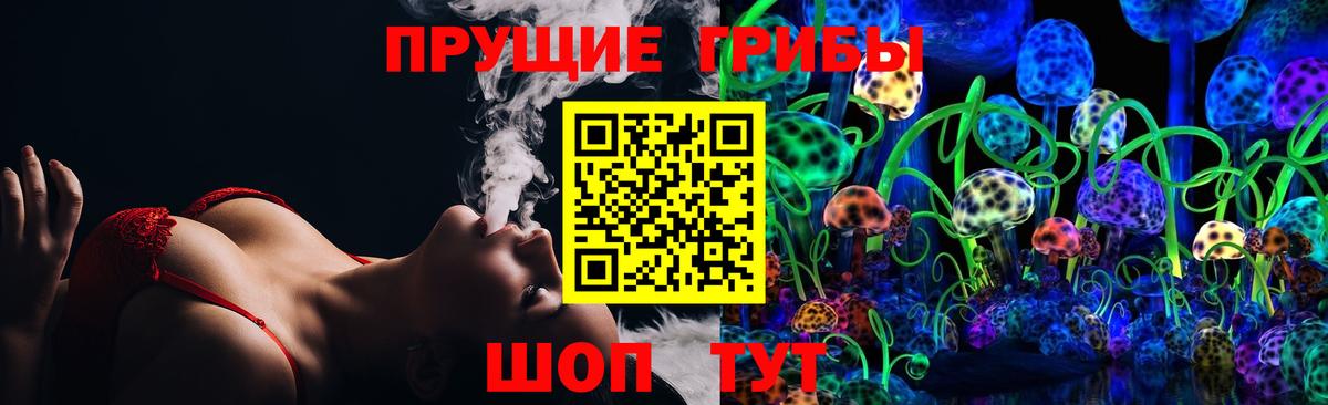 купить наркотики сайты  Вход с VPN  Сухой Лог  Галлюциногенные грибы Cubensis 